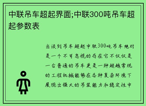 中联吊车超起界面;中联300吨吊车超起参数表